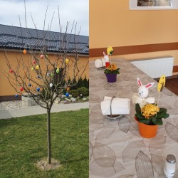 167396770_439264924036419_2359073729952885058_n