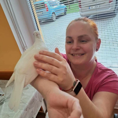 Expozice exotického ptactva