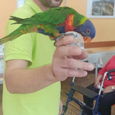 Expozice exotického ptactva