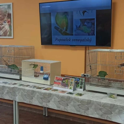 Expozice exotického ptactva