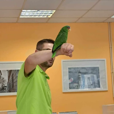 Expozice exotického ptactva