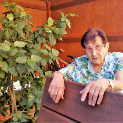 Kácení Máje