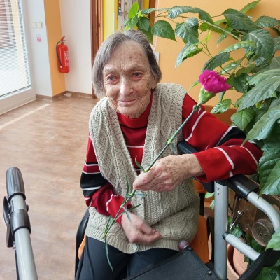 MDŽ
