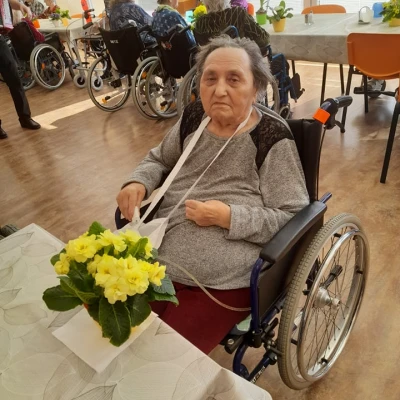 MDŽ s harmonikou