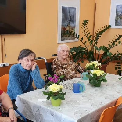 MDŽ s harmonikou