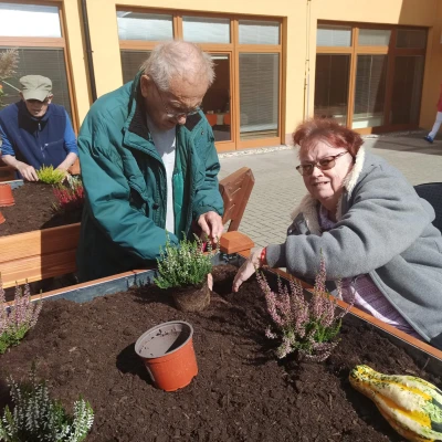 Zahrádkaření
